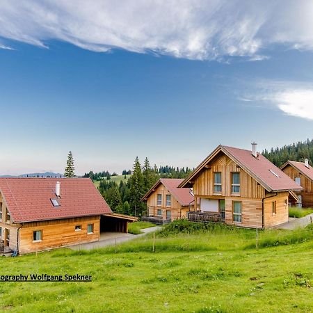 Beautiful Holiday Home In Weinebene With Sauna Posch Alpe Bagian luar foto