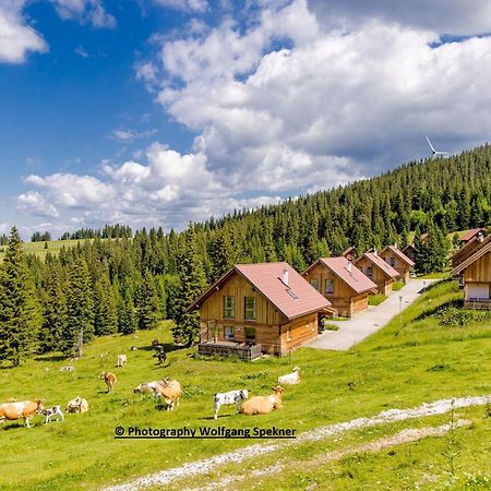 Beautiful Holiday Home In Weinebene With Sauna Posch Alpe Bagian luar foto