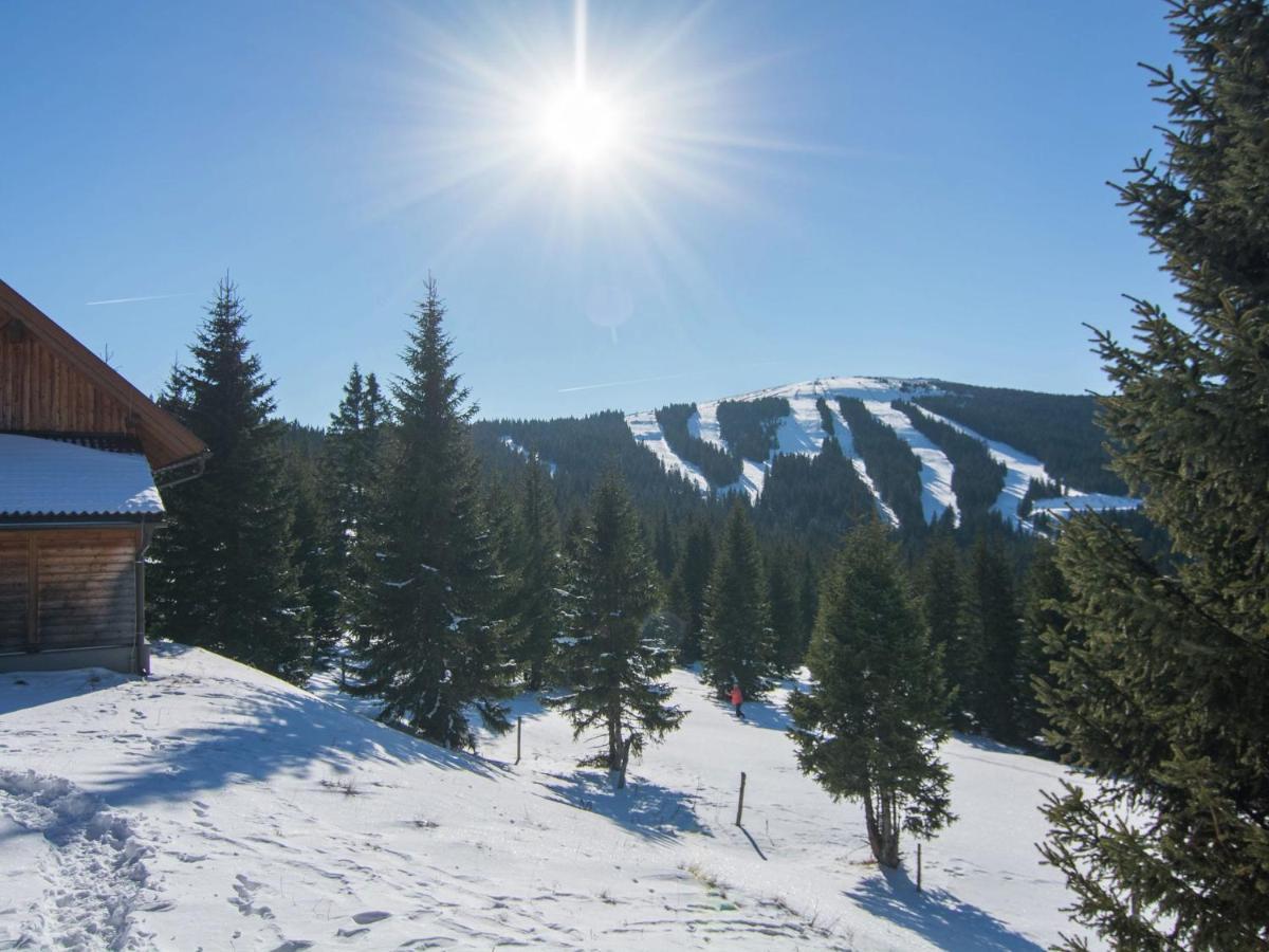 Beautiful Holiday Home In Weinebene With Sauna Posch Alpe Bagian luar foto