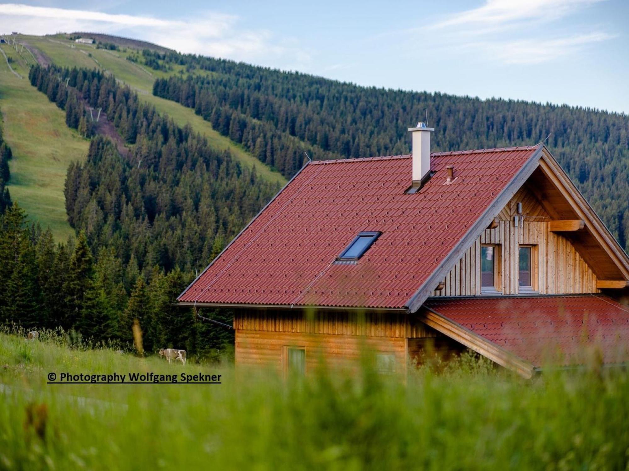 Beautiful Holiday Home In Weinebene With Sauna Posch Alpe Bagian luar foto