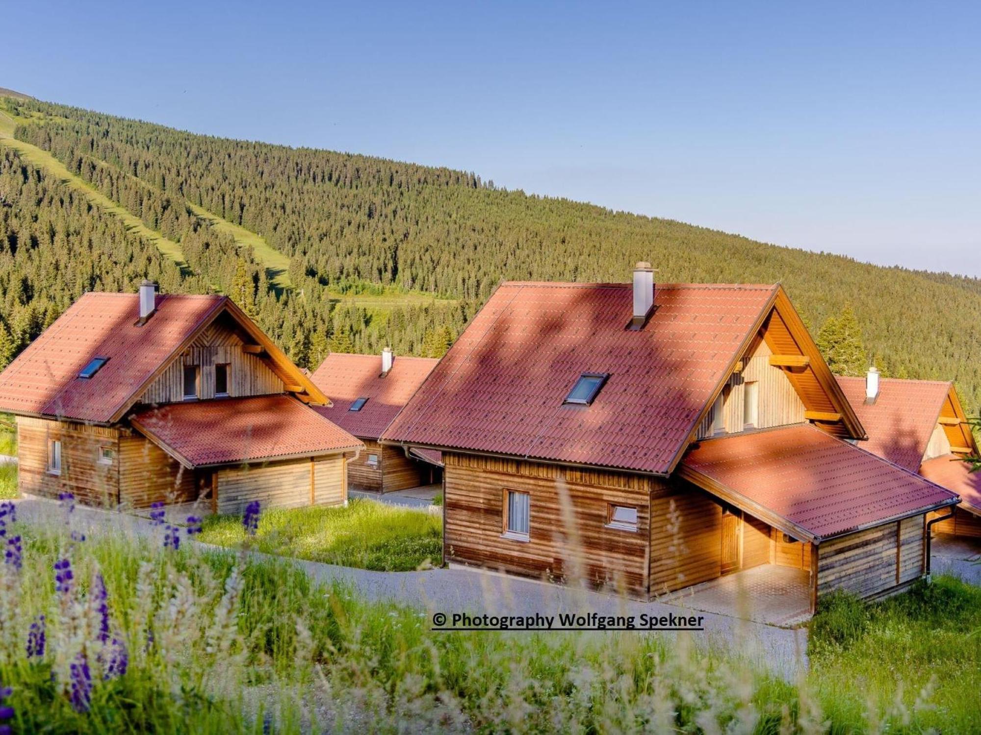 Beautiful Holiday Home In Weinebene With Sauna Posch Alpe Bagian luar foto