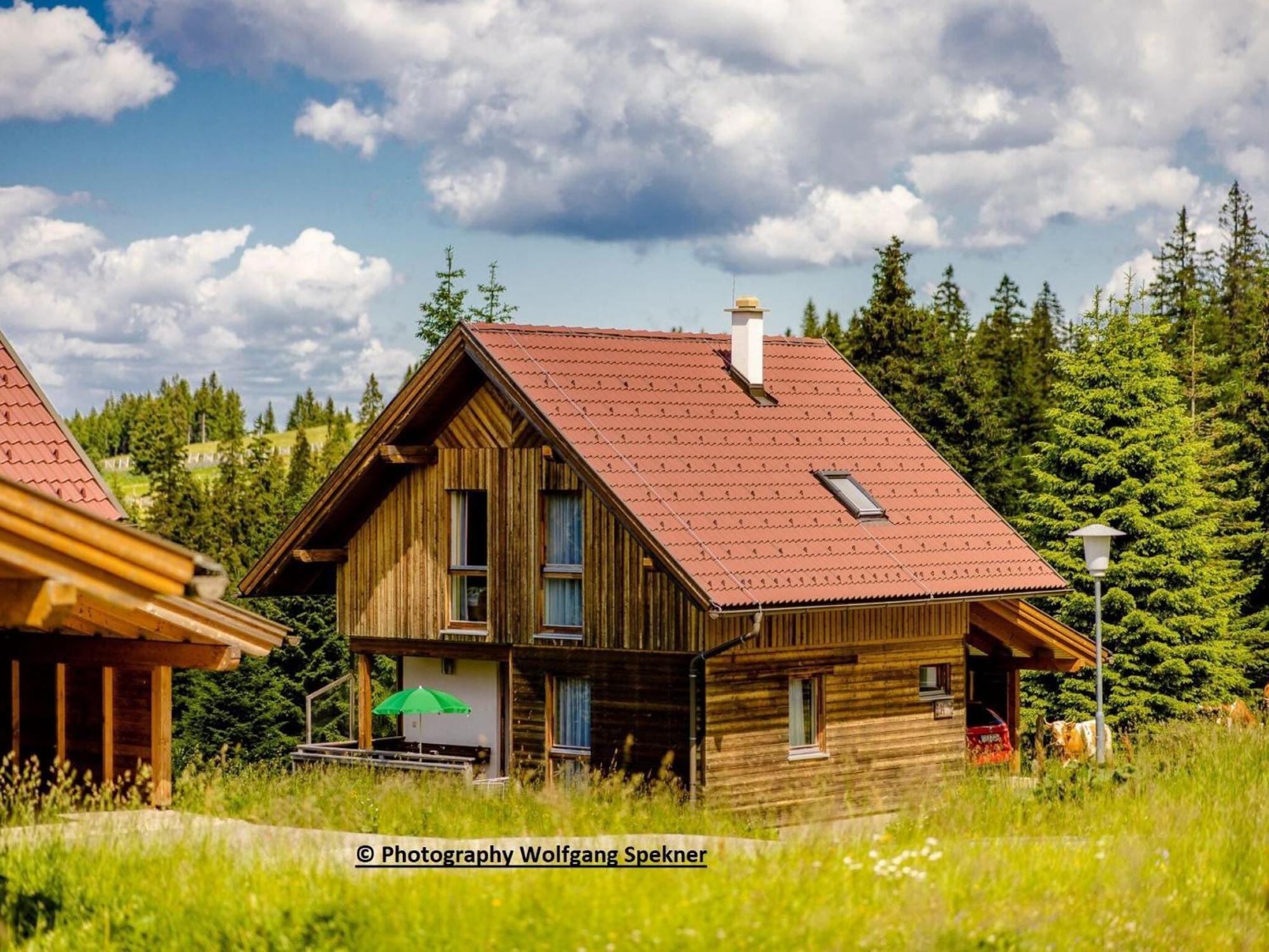 Beautiful Holiday Home In Weinebene With Sauna Posch Alpe Bagian luar foto