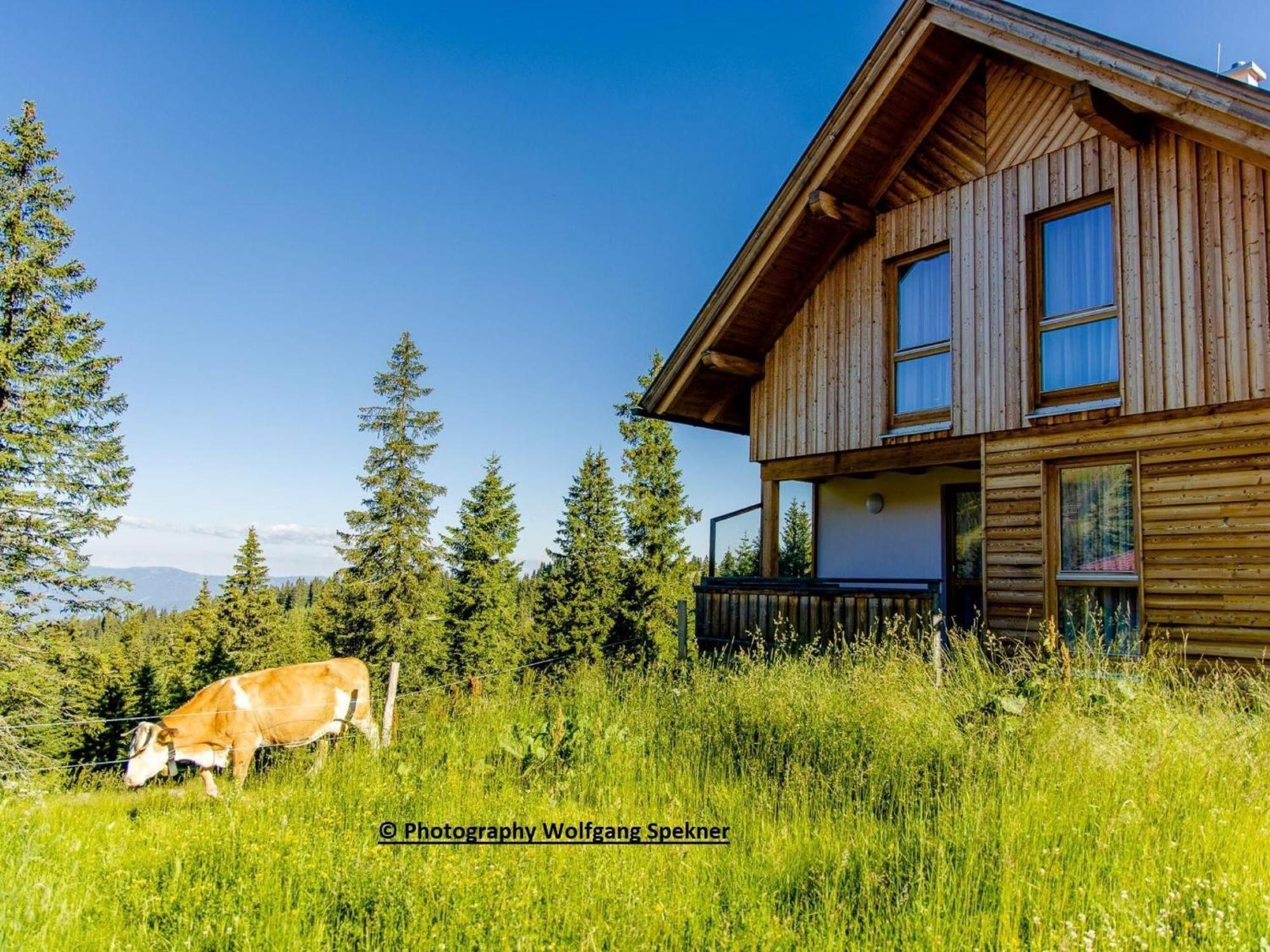 Beautiful Holiday Home In Weinebene With Sauna Posch Alpe Bagian luar foto