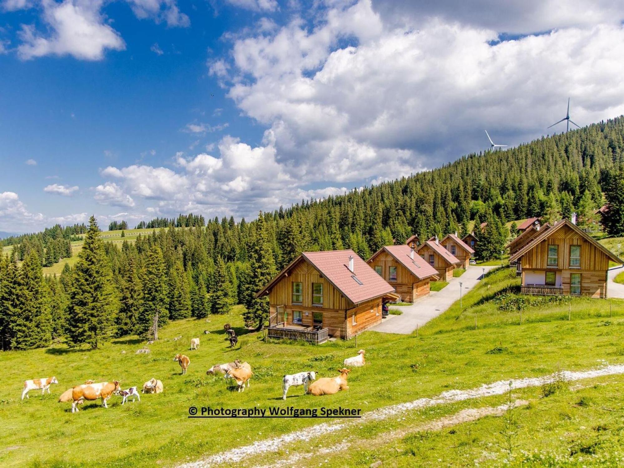 Beautiful Holiday Home In Weinebene With Sauna Posch Alpe Bagian luar foto