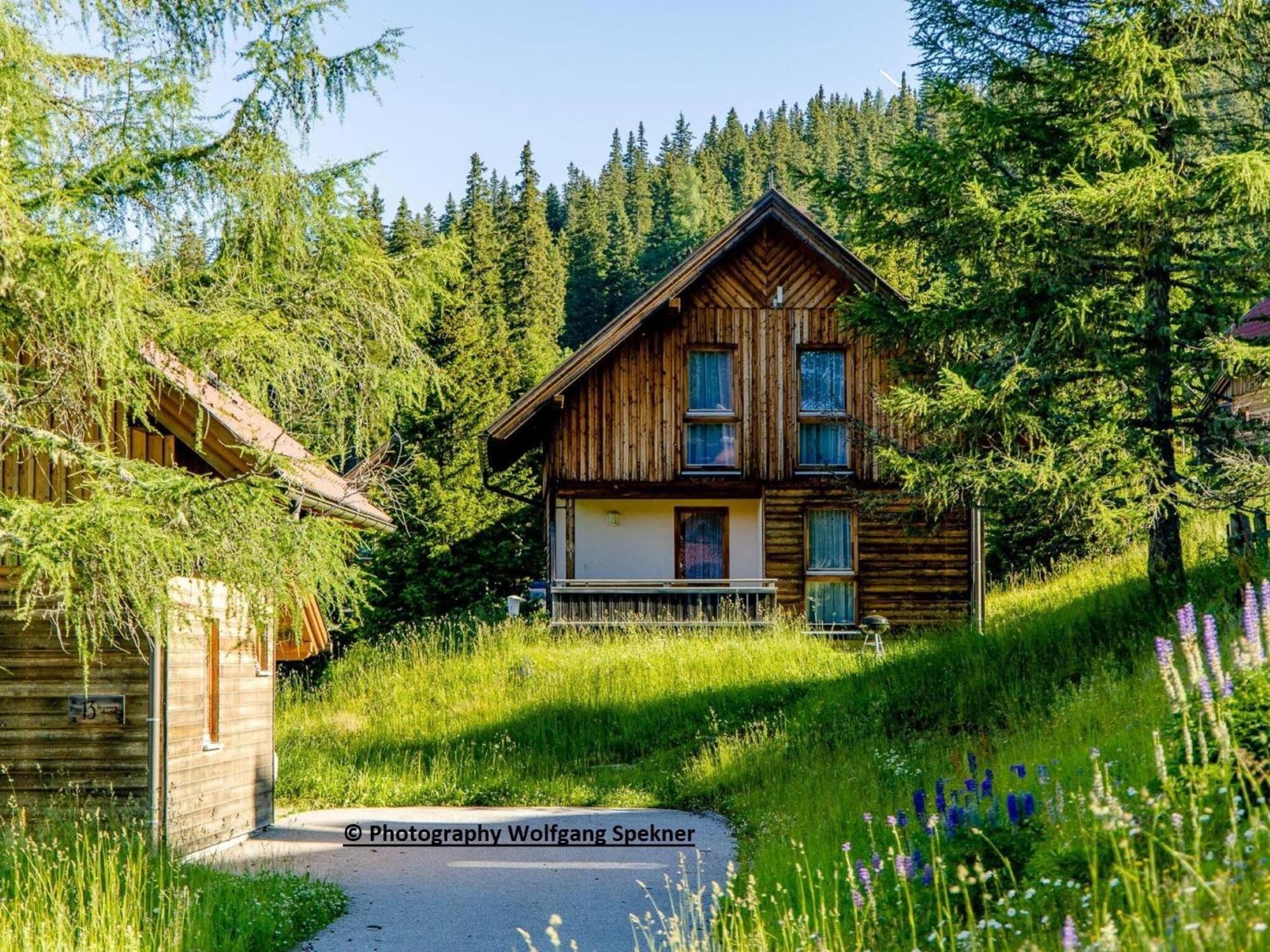 Beautiful Holiday Home In Weinebene With Sauna Posch Alpe Bagian luar foto